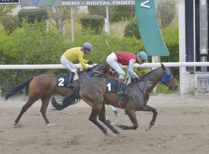 Screenshot 2024 03 13 at 9.26.52 AM